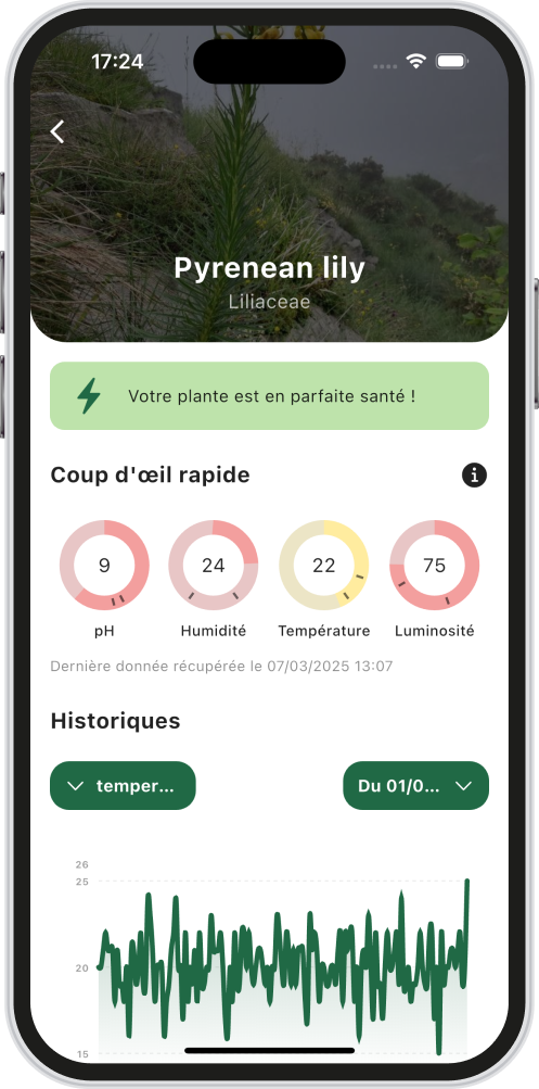 Simplifiez votre expérience verte à la maison